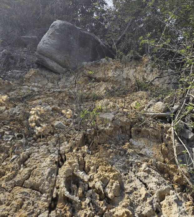 Salinity & Acid Sulfate Soil Assessment