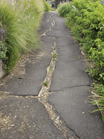 Pavement Design & Assessment