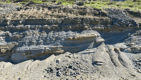 Land Stability & Landslide Risk Assessment